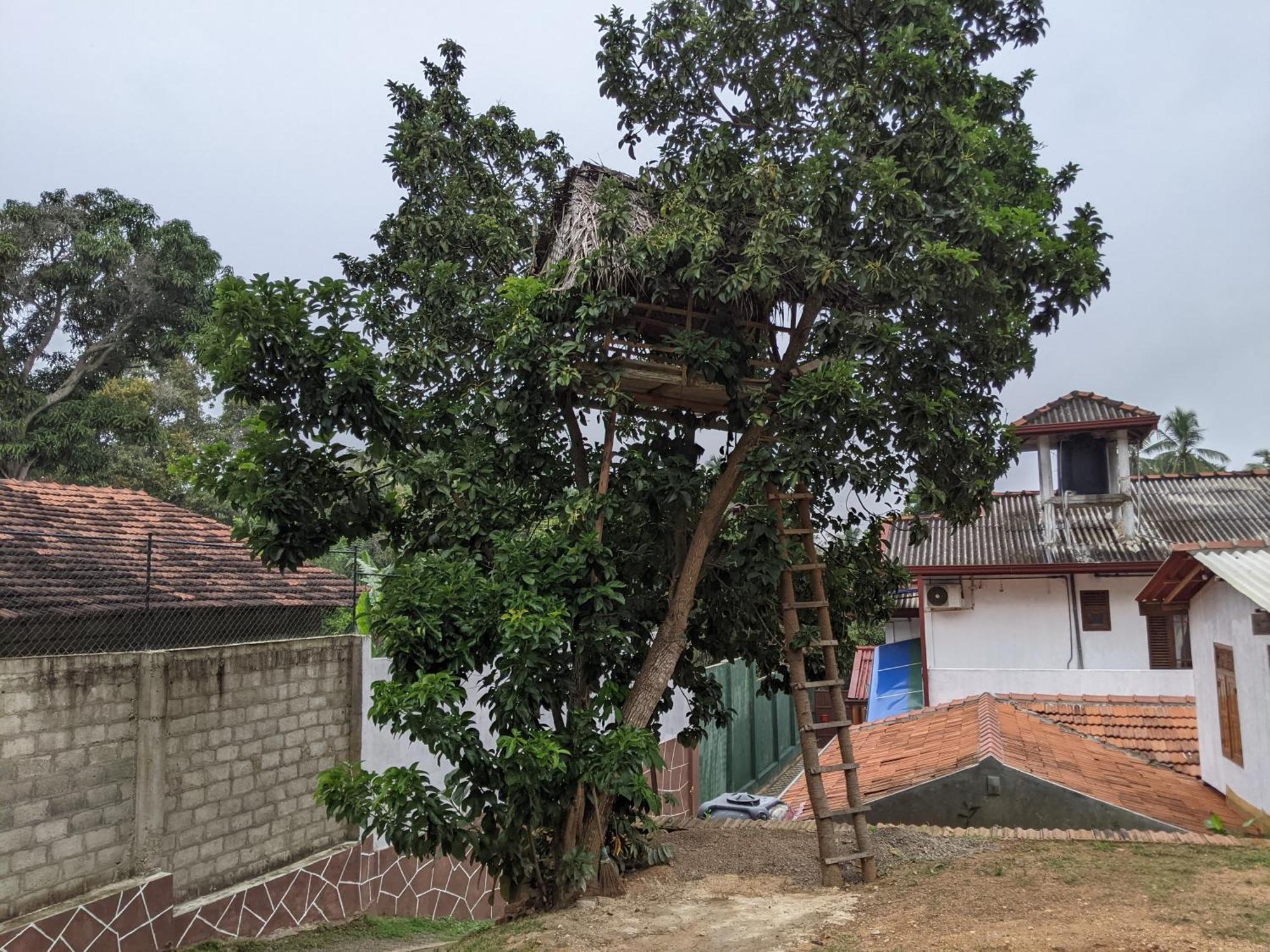 Serendip Villa Holiday Home Talalla Sri Lanka Bilik gambar